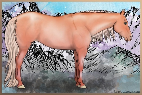 Horse Color:Silver Buckskin Pearl Dun 