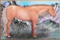 Horse Color:Silver Buckskin Pearl Dun 