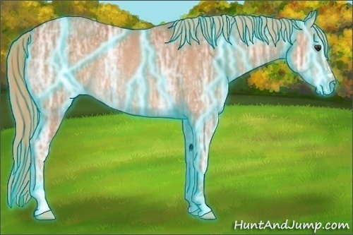 Horse Color:Thunderstruck Chestnut Ice Sabino Rabicano
