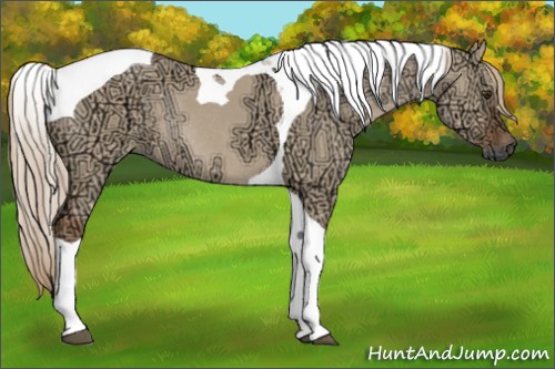 Horse Color:Red Dun Ice Tobiano Rabicano