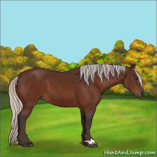 Horse Color:Silver Brown 