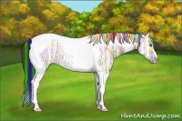 Horse Color:Painted Liver Red Dun Ice Tobiano