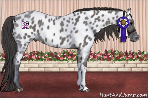 Horse Color:Grullo Near Leopard 