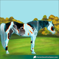 Horse Color:Thunderstruck Brown Ice Splash Tobiano 