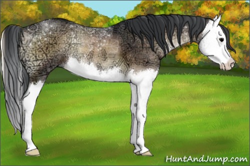 Horse Color:Brown Ice Onyx Splash 