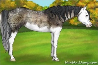 Horse Color:Brown Ice Onyx Splash