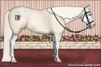 Horse Color:Silver Amber Champagne Pearl Dun Splash 