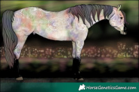 Horse Color:Void Nacre White Spotted Buckskin Ice Dun Rabicano 