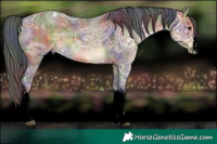 Horse Color:Void Nacre White Spotted Buckskin Ice Dun Rabicano