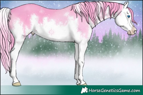 Horse Color:Watercolor White Spotted Smoky Black Splash 