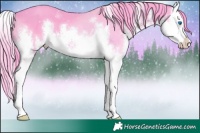 Horse Color:Watercolor White Spotted Smoky Black Splash 