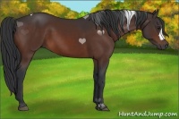 Horse Color:Brown 