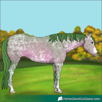 Horse Color:Watercolor Bay Ice 