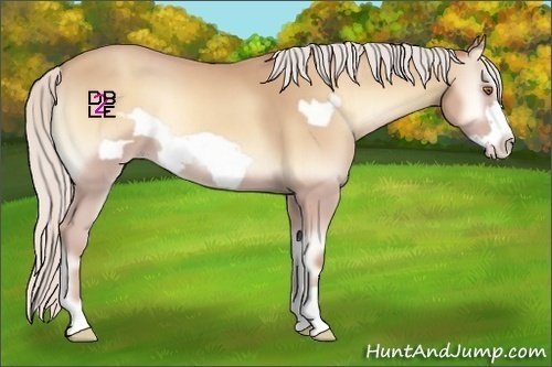 Horse Color:Silver Classic Champagne Onyx Frame 