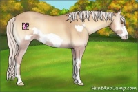 Horse Color:Silver Classic Champagne Onyx Frame 
