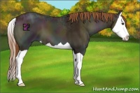 Horse Color:Midnight Red Onyx Ice Splash