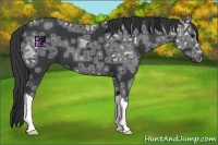 Horse Color:Black Ice 