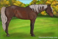 Horse Color:Silver Brown 