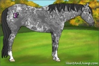 Horse Color:Black Ice 