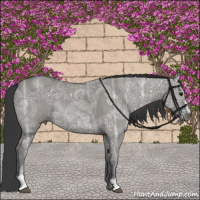 Horse Color:Grullo Ice Sabino Rabicano