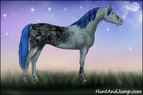 Horse Color:ERROR: UNKNOWN ANOMALY