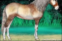 Horse Color:Silver Brown Roan Onyx Appaloosa 