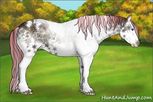 Horse Color:Painted White Spotted Chocolate Brown Ice Onyx Sabino Splash