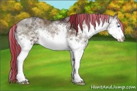 Horse Color:Painted Chocolate Brown Ice Roan Onyx Sabino Splash 