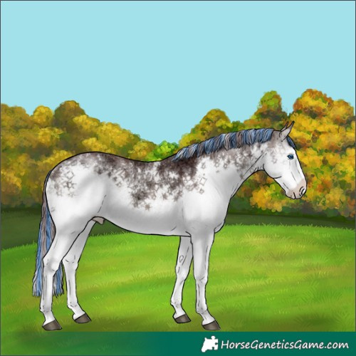 Horse Color:Painted White Spotted Chocolate Blue Onyx Ice Splash 
