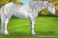 Horse Color:Silver Brown Chinchilla Ice Dun Sabino Tobiano