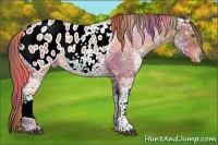 Horse Color:Nacre White Spotted Chocolate Brown Ice Appaloosa 