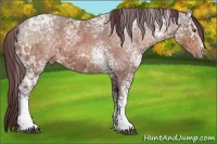 Horse Color:White Spotted Chocolate Brown Ice Sabino