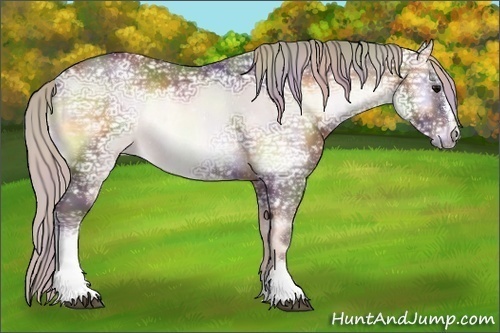 Horse Color:Nacre White Spotted Chocolate Silver Brown Ice Onyx Sabino Rabicano 