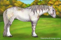 Horse Color:Nacre White Spotted Chocolate Silver Brown Ice Onyx Sabino Rabicano 