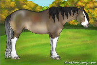 Horse Color:Gray Brown Dun Splash 