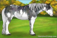 Horse Color:White Spotted Midnight Silver Brown Chinchilla Ice Dun Splash Tobiano 