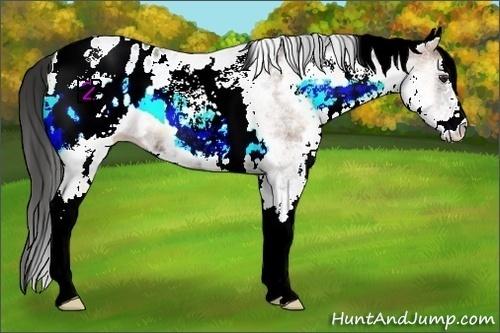 Horse Color:White Spotted Liver Red Onyx Appaloosa