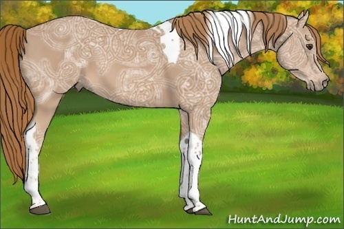 Horse Color:Chestnut Ice Tobiano 
