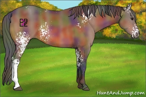 Horse Color:Nacre White Spotted Brown