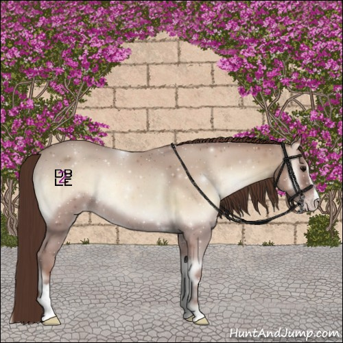 Horse Color:Classic Champagne Onyx Sabino 