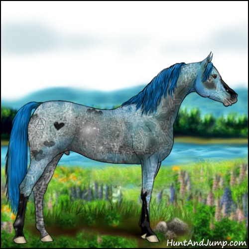 Horse Color:ERROR: UNKNOWN ANOMALY