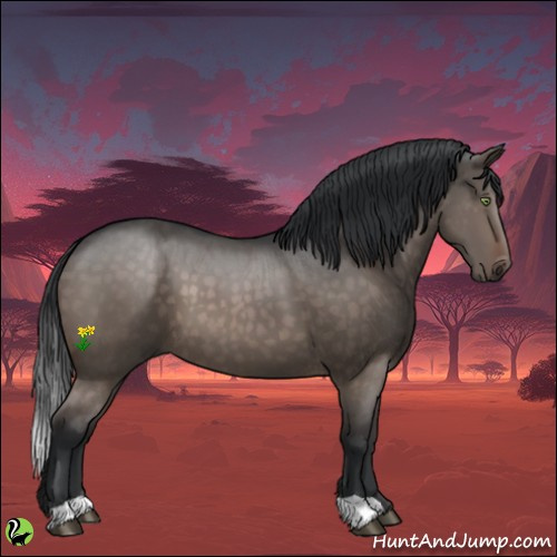Horse Color:Brown Dun 