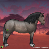 Horse Color:Brown Dun 