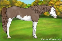 Horse Color:Liver Red Dun Splash