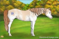 Horse Color:White Spotted Gold Champagne Dun Splash 