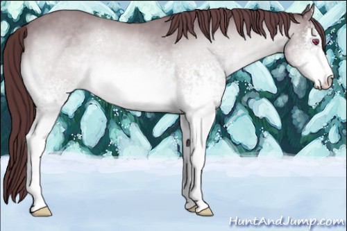 Horse Color:White Spotted Chocolate Brown Chinchilla Sabino