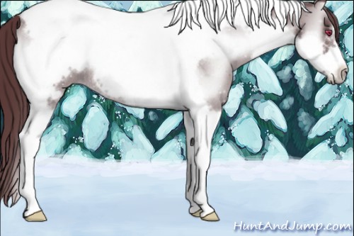 Horse Color:Chocolate Blue Onyx Chinchilla Tobiano Frame Rabicano 