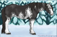 Horse Color:White Spotted Liver Chestnut 