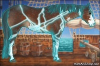 Horse Color:Thunderstruck Brown Sabino 