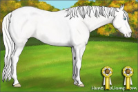 Horse Color:Silver Perlino Tobiano Appaloosa 